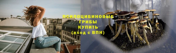 гидра Белоозёрский