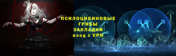 гидра Белоозёрский