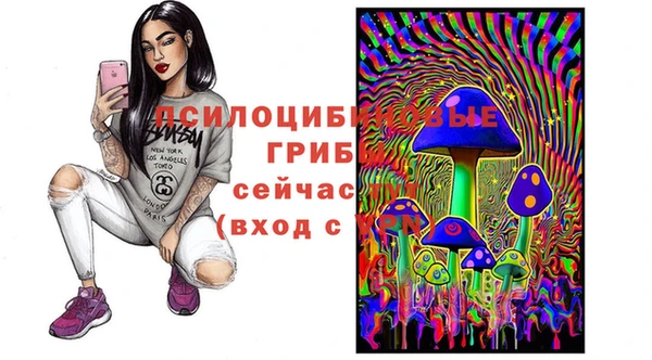 прущая мука Белокуриха