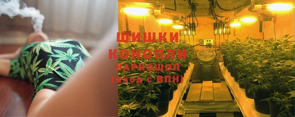 гидра Белоозёрский